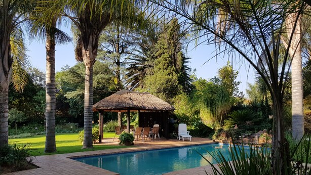A swimming pool with a thatched-roof gazebo, surrounded by palm trees and greenery. - Six Valk Avenue Guest House (Sandton)