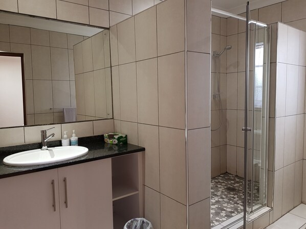 A bathroom with a sink, mirror, and shower.
