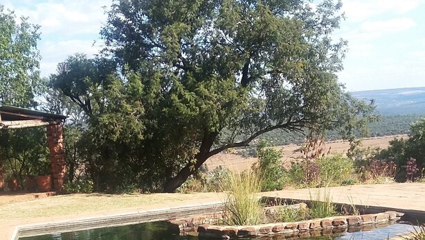 A clear swimming pool with a stone border, surrounded by trees and a grassy area. - Thirsty Falls Guest Farm (Maanhaarand)
