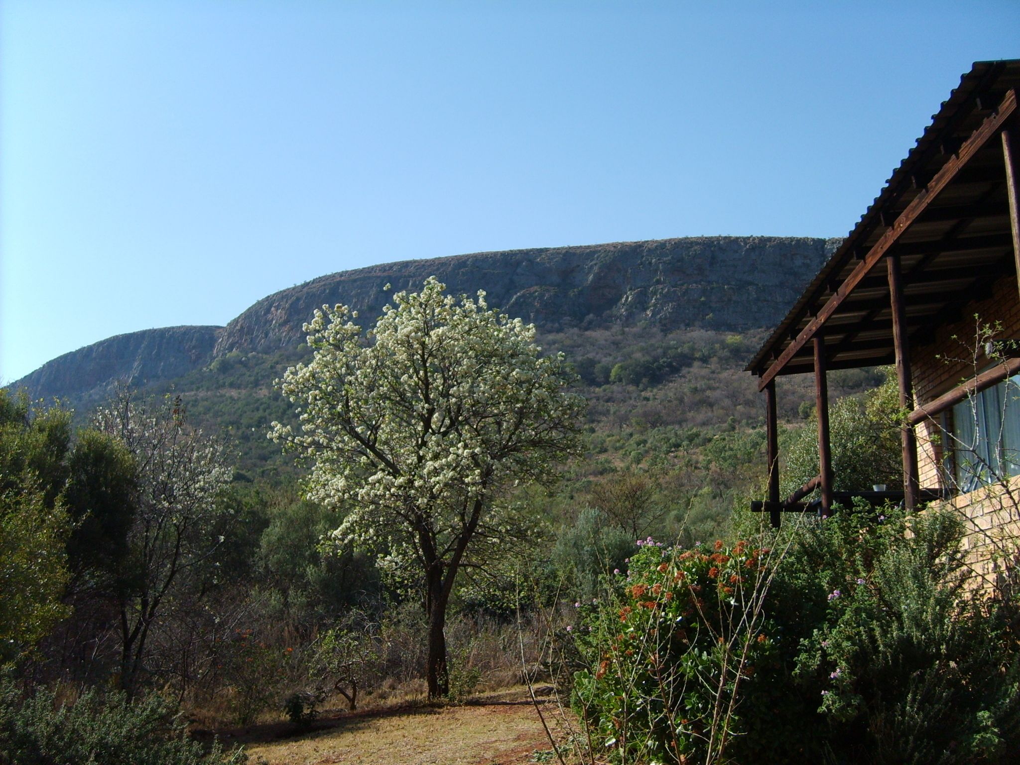 A rustic cabin with a wooden porch, surrounded by a natural landscape with a prominent tree and a mountain in the background.