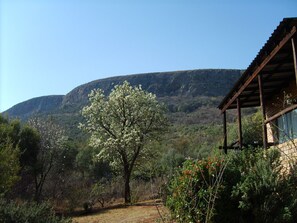 A rustic cabin with a wooden porch, surrounded by a natural landscape with a prominent tree and a mountain in the background. - Thirsty Falls Guest Farm (Maanhaarand)