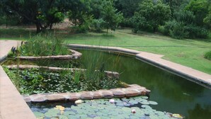 A pond with lily pads and water lilies surrounded by a stone border. - Thirsty Falls Guest Farm (Maanhaarand)
