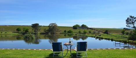 Piscine extérieure, chaises longues