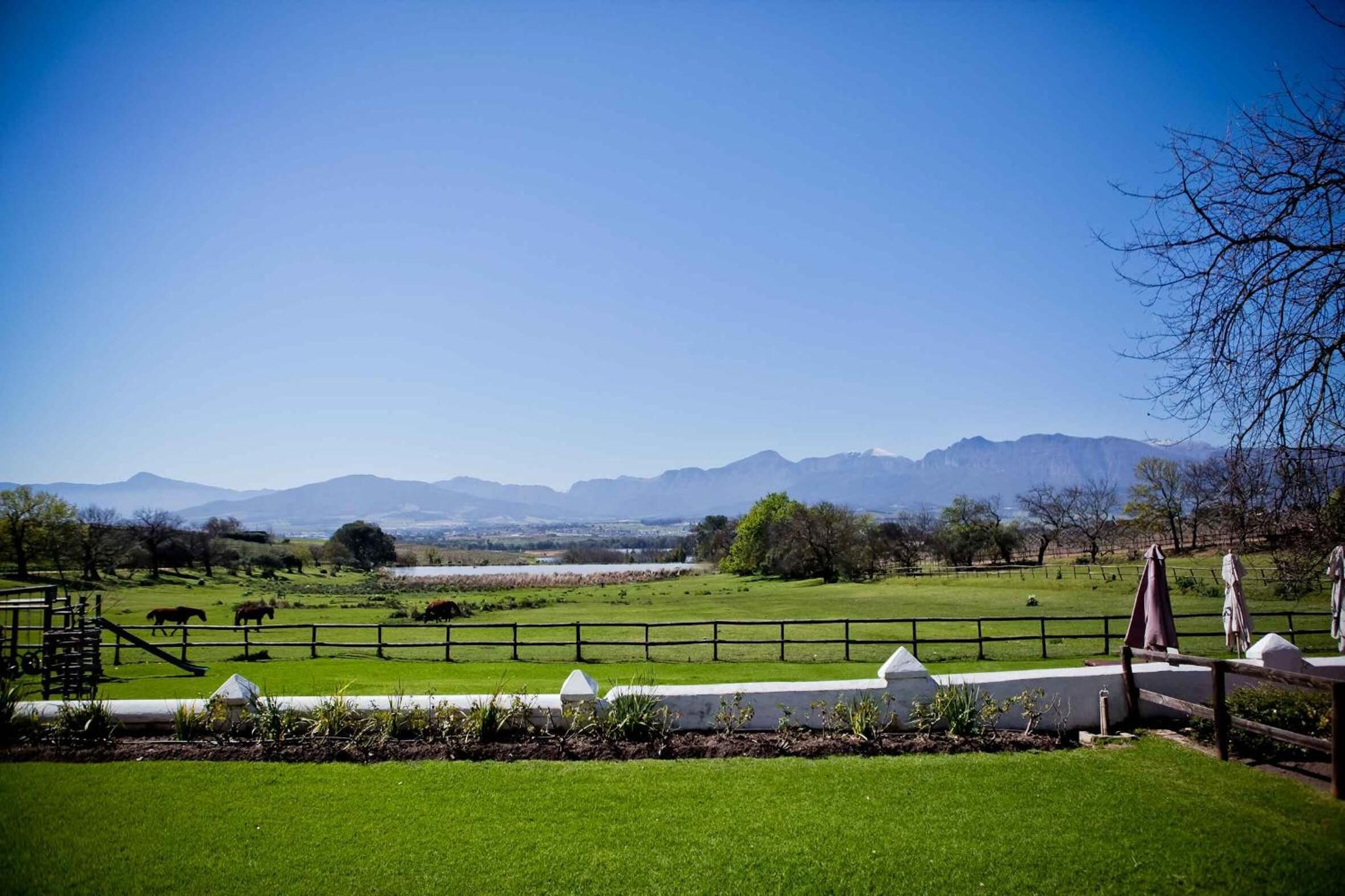 Foto - Under Oaks Guesthouse