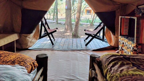 A tent with two wooden beds, a bench, and a view of a tree and building outside. - Red Rocks Rwanda Guesthouse & Campsite (Nkotsi)