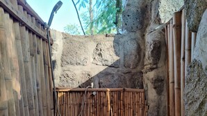 A bamboo fence, stone walls, and a concrete floor in a shaded outdoor area. - Red Rocks Rwanda Guesthouse & Campsite (Nkotsi)