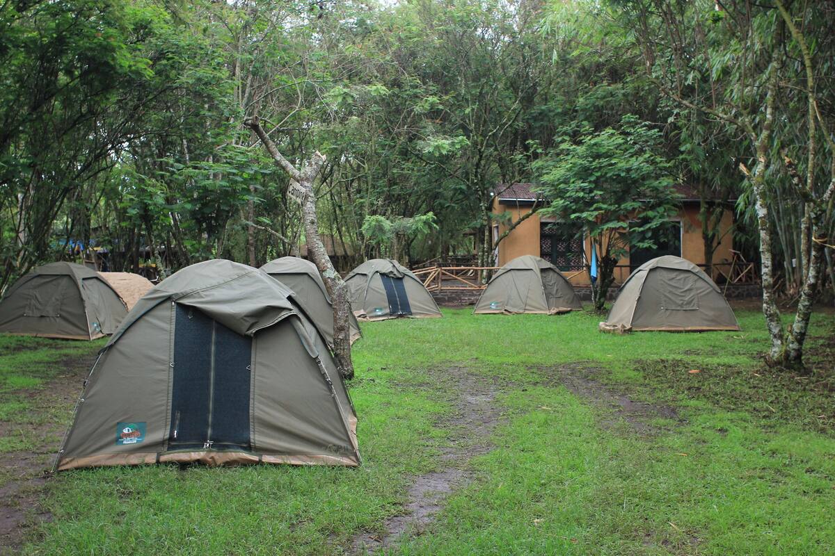 A campsite with several tents arranged in rows, surrounded by trees.