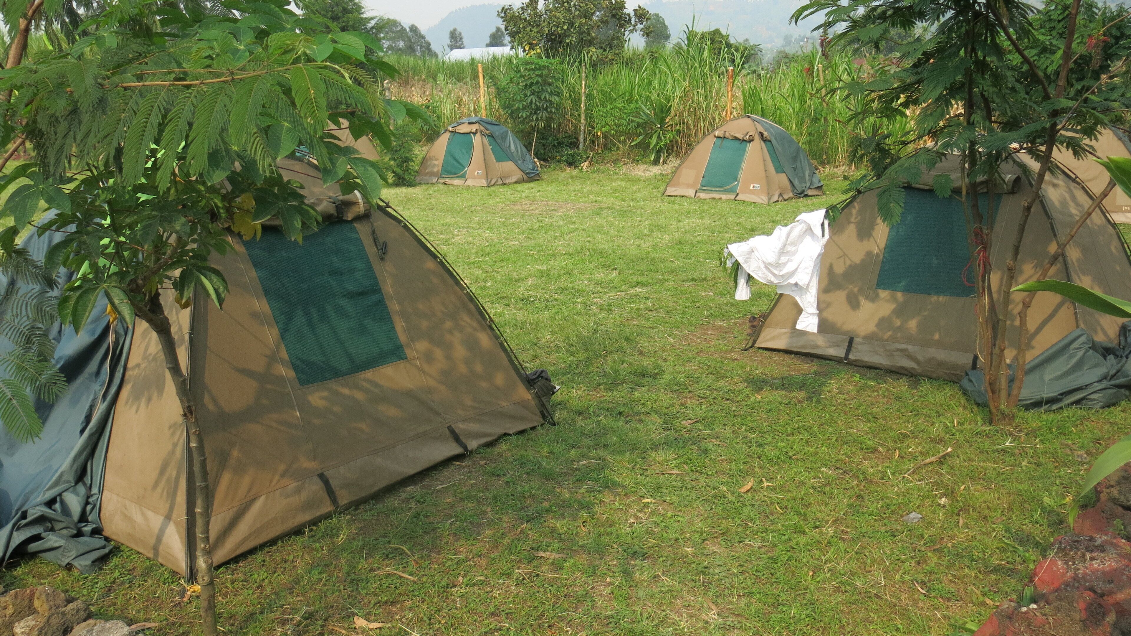 Um camping com várias barracas dispostas numa área gramada, cercado por árvores e vegetação.