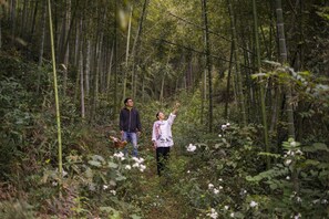 Hiking - Ji Hotel (Huzhou)
