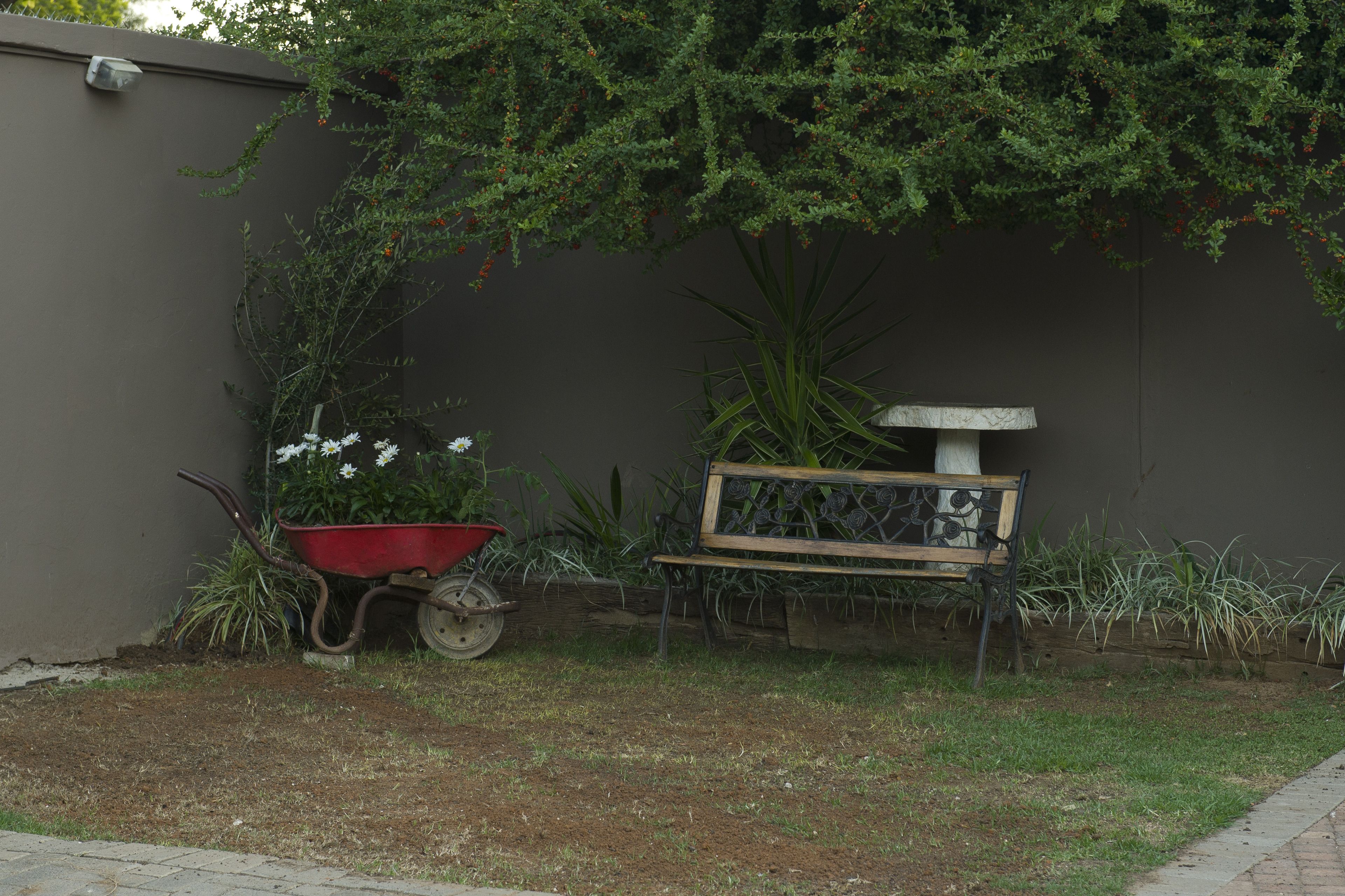 A garden area with a red wheelbarrow, a wooden bench, and a planter with plants.