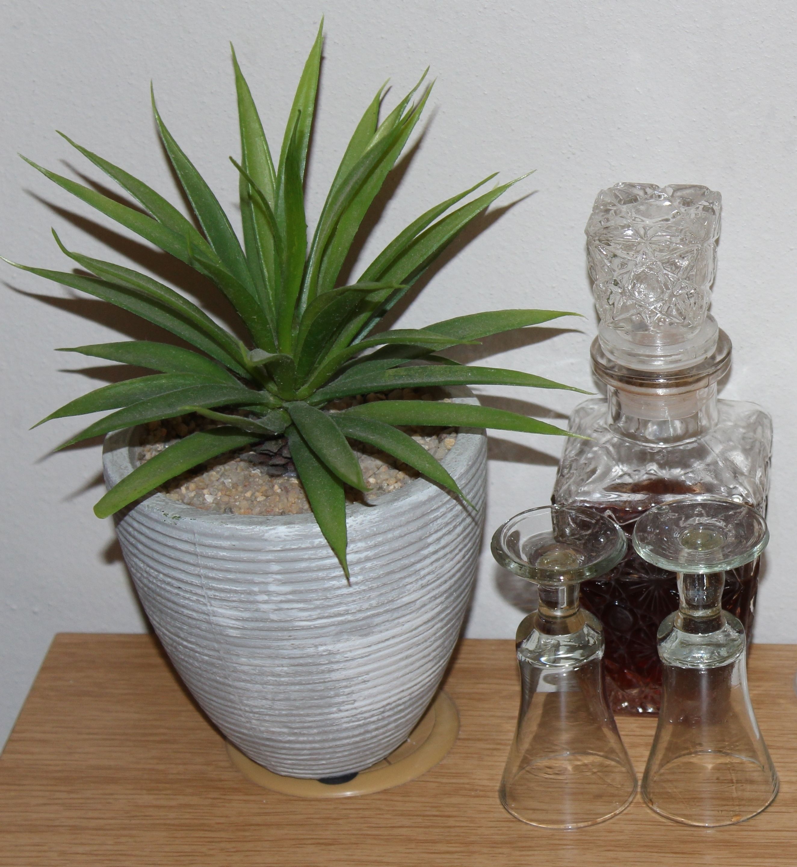 A potted plant with long green leaves, a textured white pot, and two clear glass bottles with a stopper on a wooden surface.