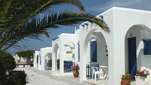 A row of white buildings with blue doors and windows, a palm tree, and potted plants. - Bungalows Marina (Paros)