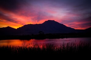 Exterior - Reflections Guest Farm (Tulbagh)