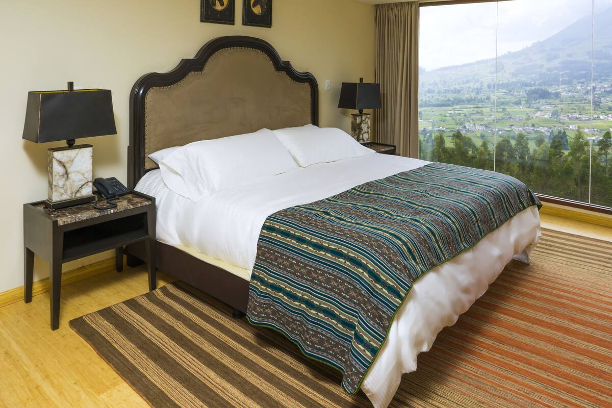 A hotel room with a large bed, a nightstand with a lamp, a telephone, and a view of a landscape through a window.