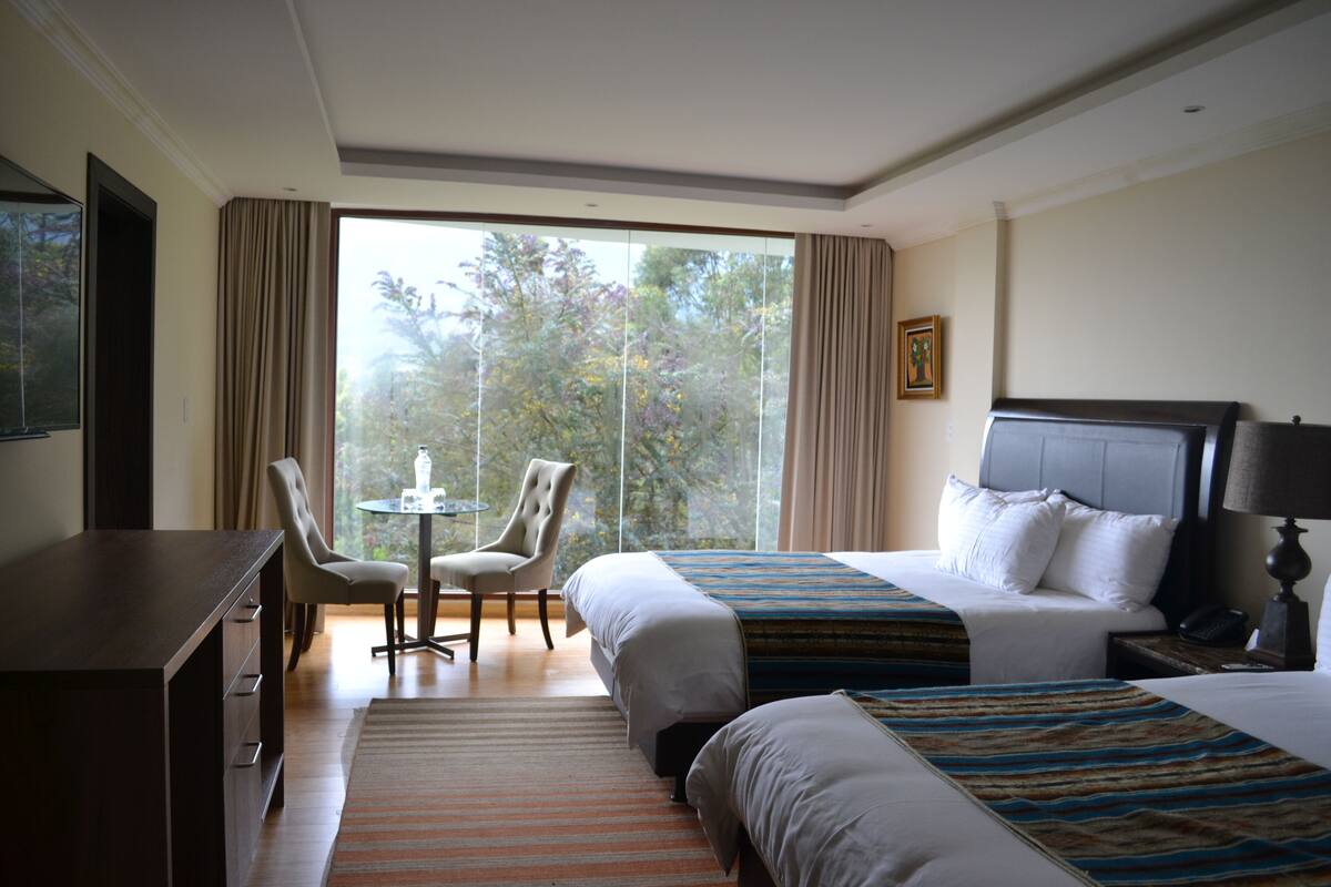 standard double room | view from room