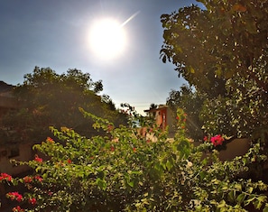 Property grounds - Svahns (Santa Marta)