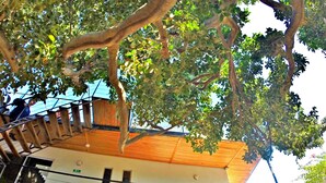 Exterior detail - Svahns (Santa Marta)