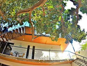 Exterior detail - Svahns (Santa Marta)