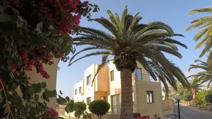 En boligbygning med en palme i forgrunden, en klar himmel og en velholdt græsplæne.