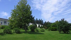 A residential area with a large tree, a lawn, and a house in the background. - Joyce's Motel & Cottages (St. Peters)