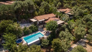 An aerial view of a villa with a swimming pool surrounded by dense trees. - Arethousa Villas (Lefkada)