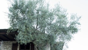 A stone building with a staircase, a tree, and a tiled roof. - Arethousa Villas (Lefkada)