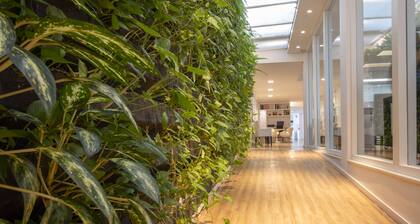 Samba Bossa Nova Ipanema