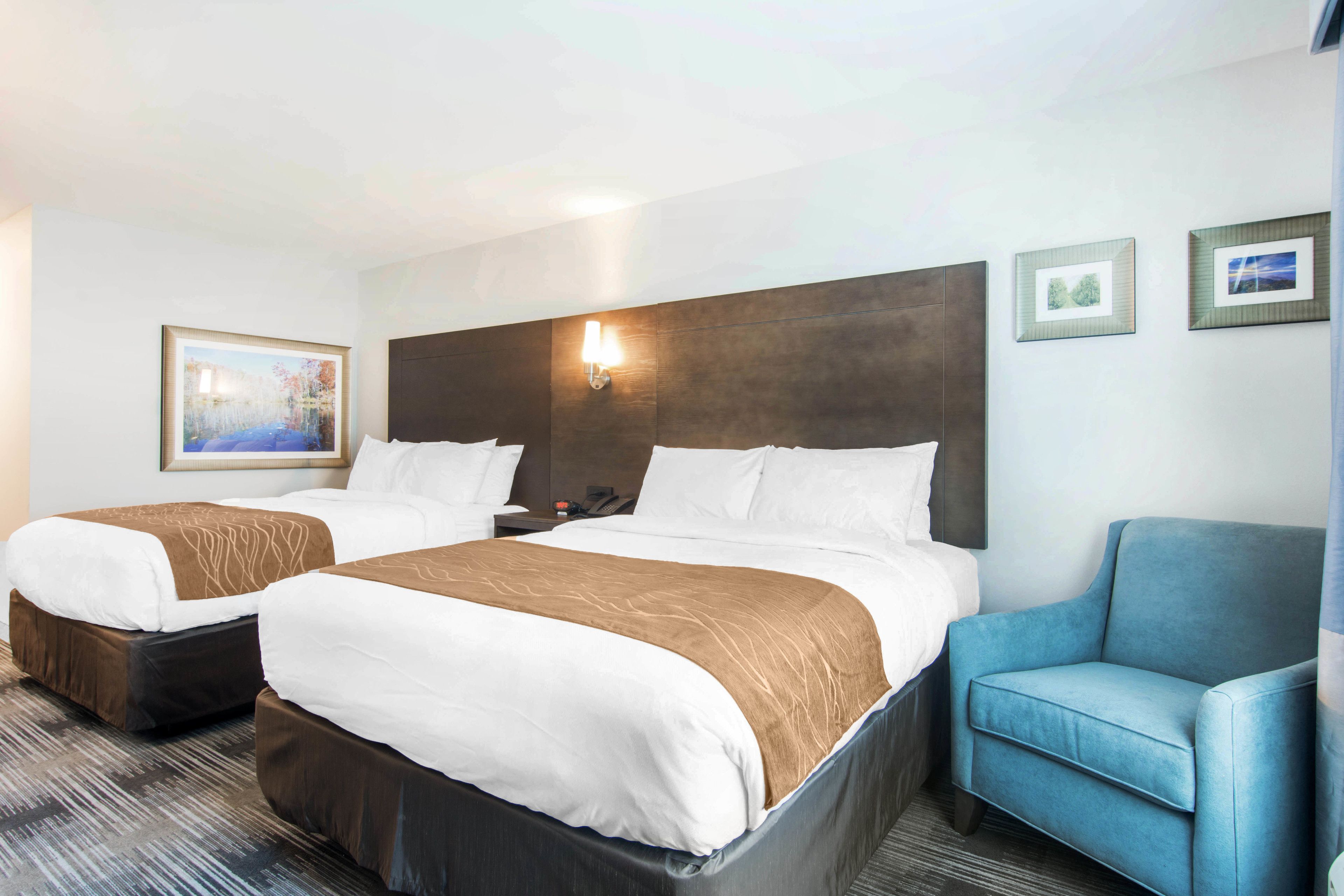 premium bedding, desk, iron/ironing board, free wifi