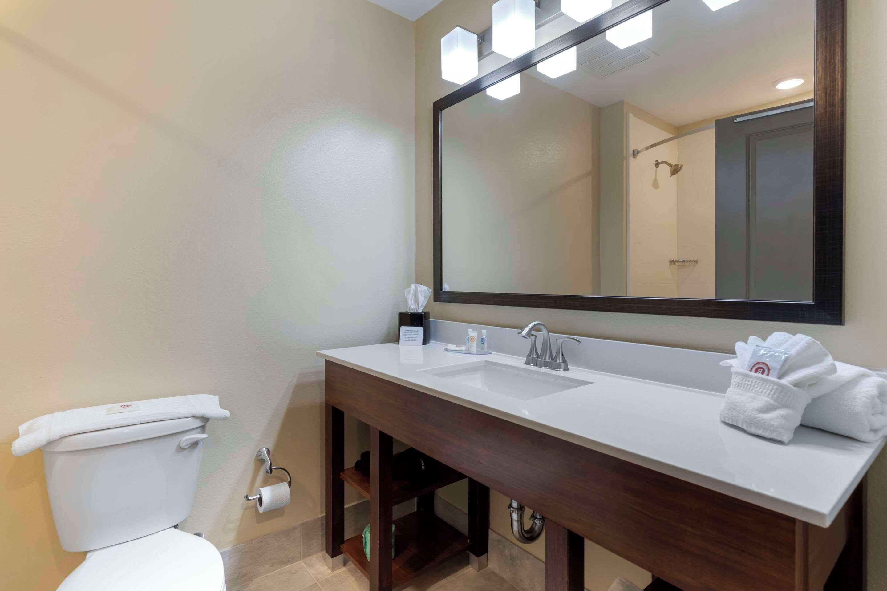 premium bedding, desk, iron/ironing board, free wifi