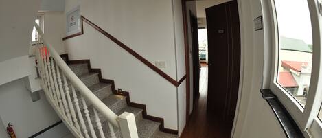 A staircase with white balusters and a wooden handrail leading to a landing.