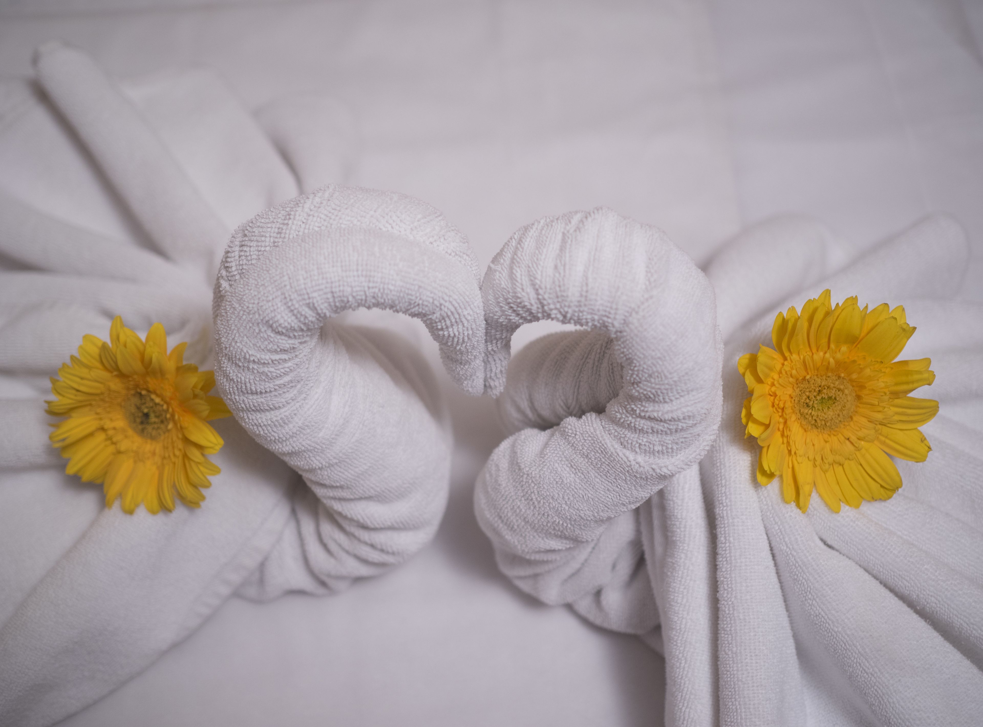 comfort queen room | room amenity