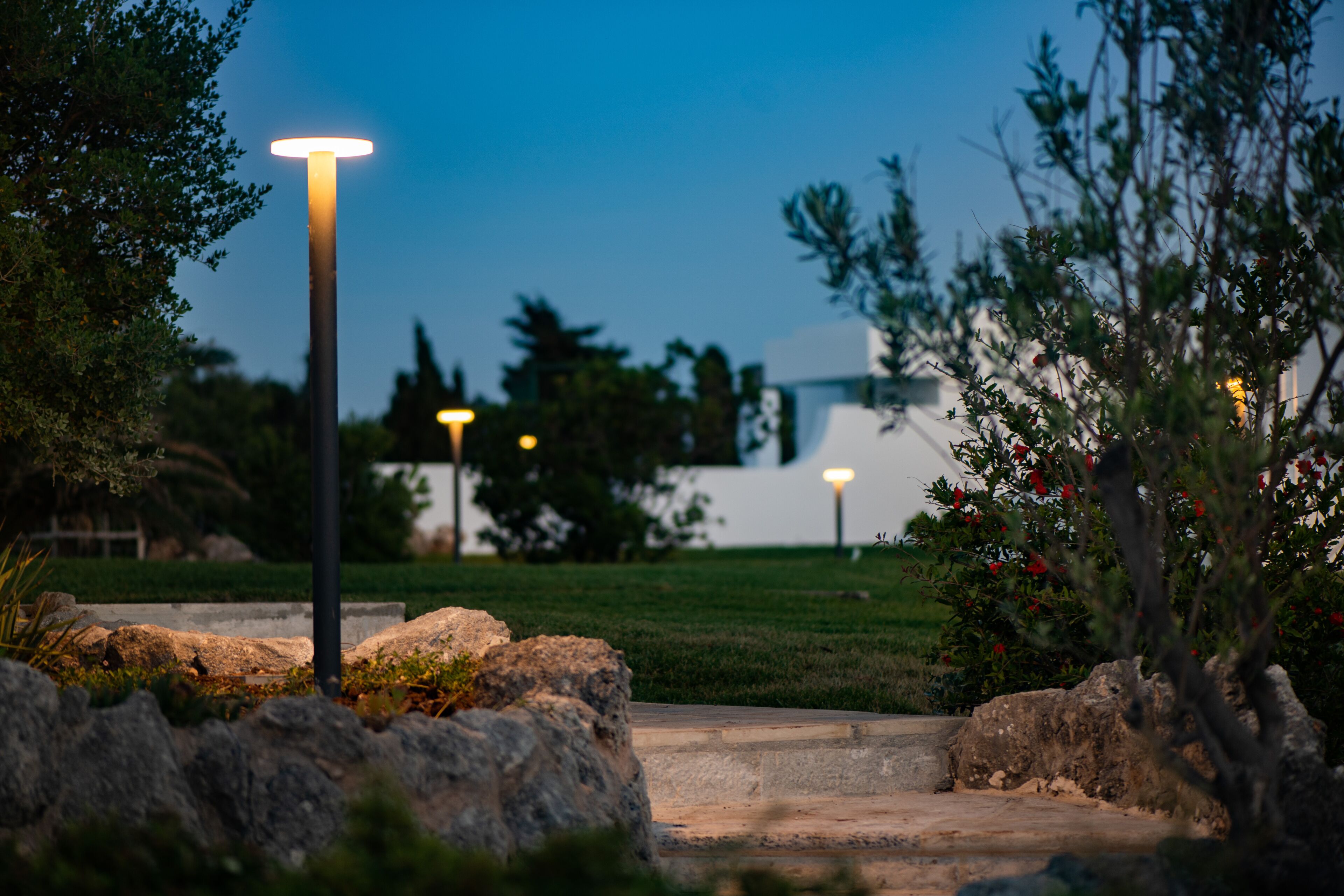 Un sendero de piedras que asciende, rodeado de rocas y vegetación, conduce a un edificio de diseño moderno.