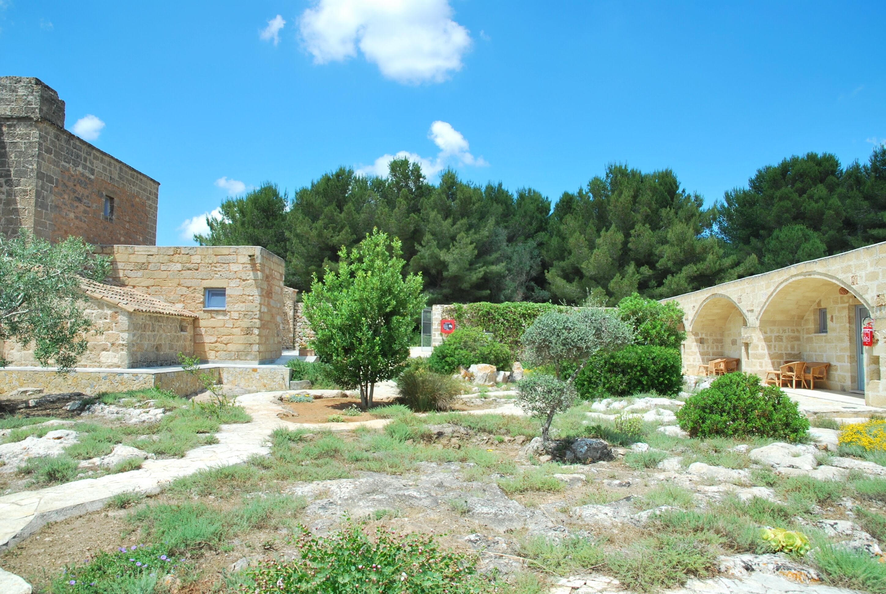 A courtyard with stone buildings, a tree, and a clear blue sky.