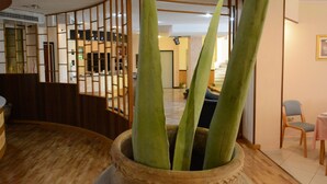 A room with a wooden floor, a large potted plant, a wooden partition, and a staircase in the background. - Castelvetere Hotel (Caulonia)