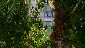 A garden area with a stone bench and a metal staircase leading to an upper level. - Castelvetere Hotel (Caulonia)