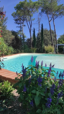 Seasonal outdoor pool, open 10:00 AM to 7:00 PM, pool umbrellas