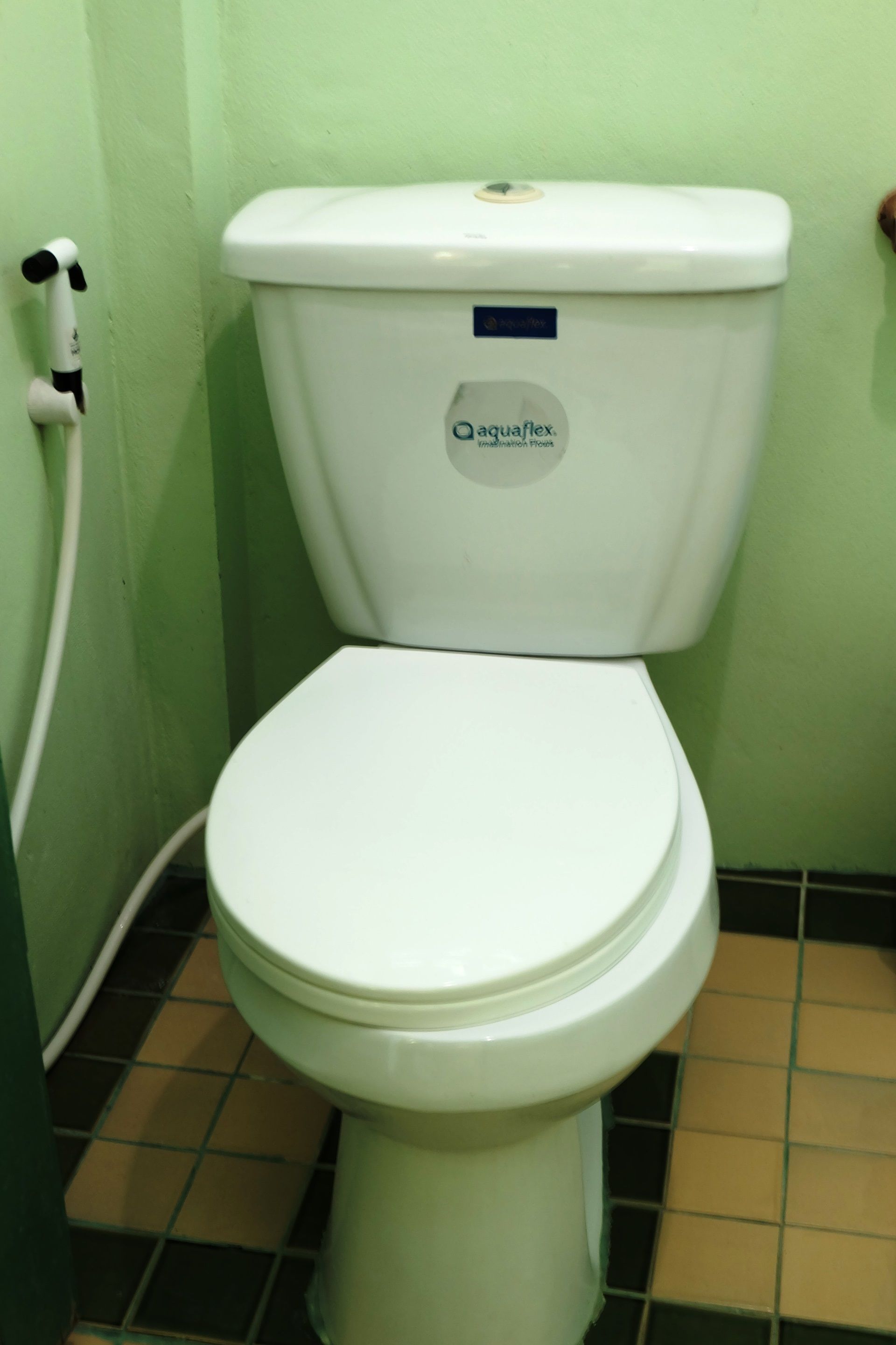 A white toilet with a visible brand label and a bidet attachment.