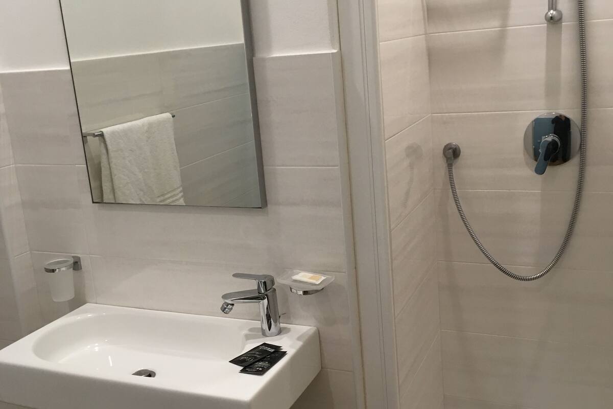 shower, free toiletries, hair dryer, bidet