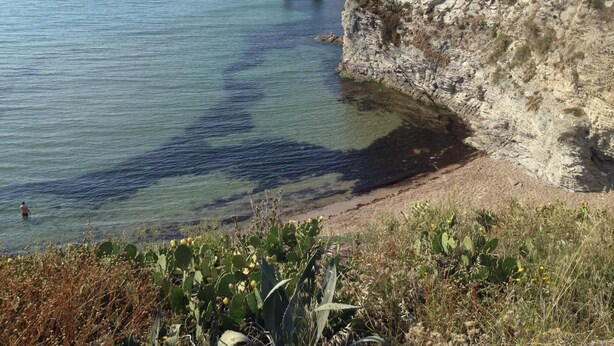A coastal scene with clear water, rocky cliffs, and sparse vegetation. - Hotel Il Pirata (Cinisi)