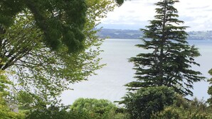 A lush garden with various trees and shrubs, a small pond, and a view of a lake. - Lakeview Holiday Home (Rotorua)