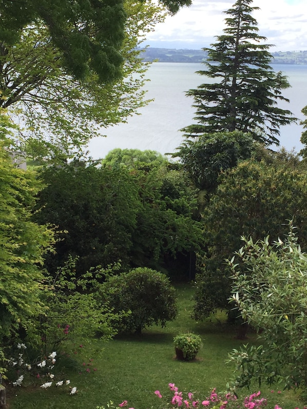A lush garden with various trees and shrubs, a small pond, and a view of a lake.