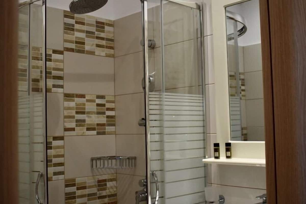 shower, free toiletries, hair dryer, towels