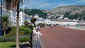 A coastal promenade with a red pavement, palm trees, and white buildings in the background. - Elsinore Hotel (Llandudno)
