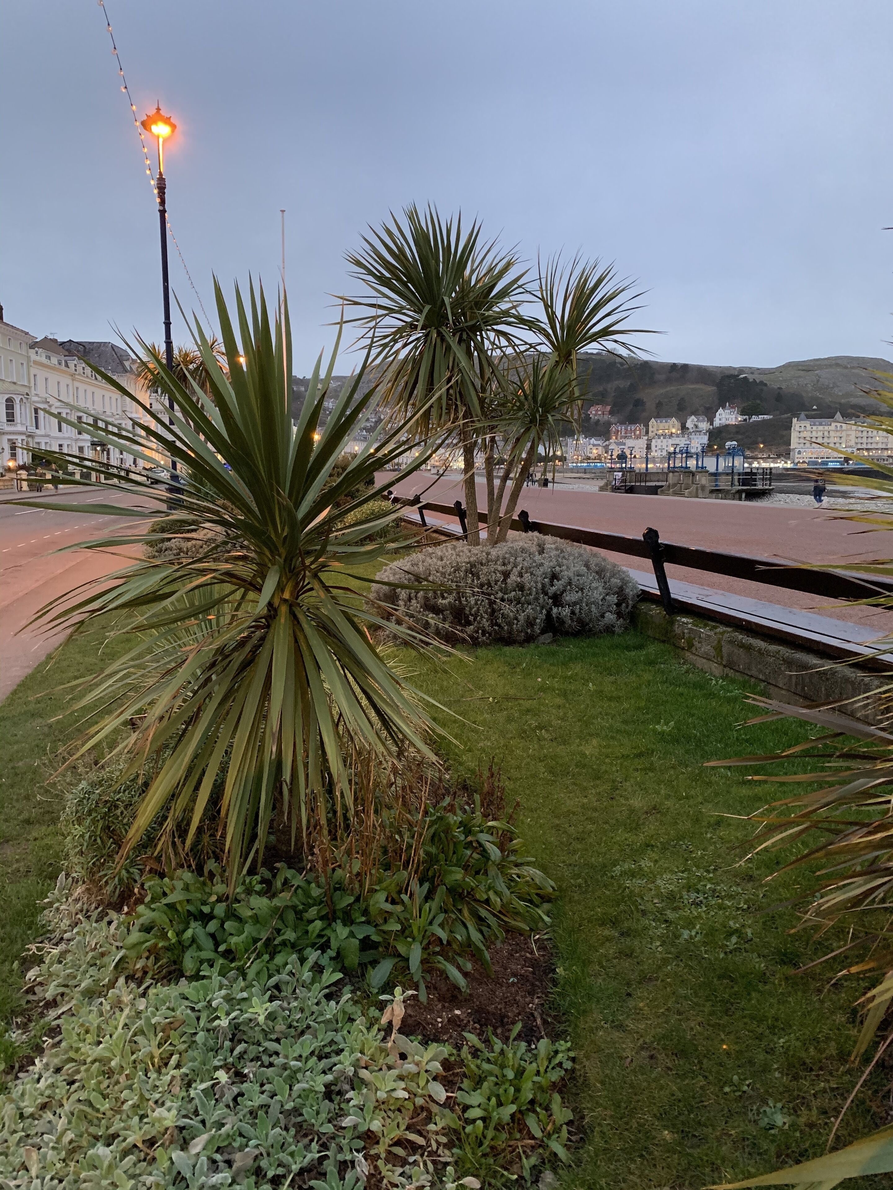 Photo - Elsinore Hotel Llandudno