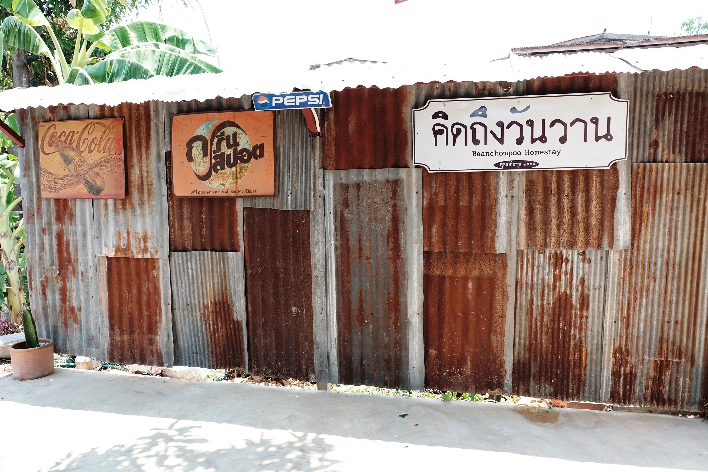 A corrugated metal wall with signs for Coca-Cola, a local brand, and a homestay named Baanchompoon Homestay.