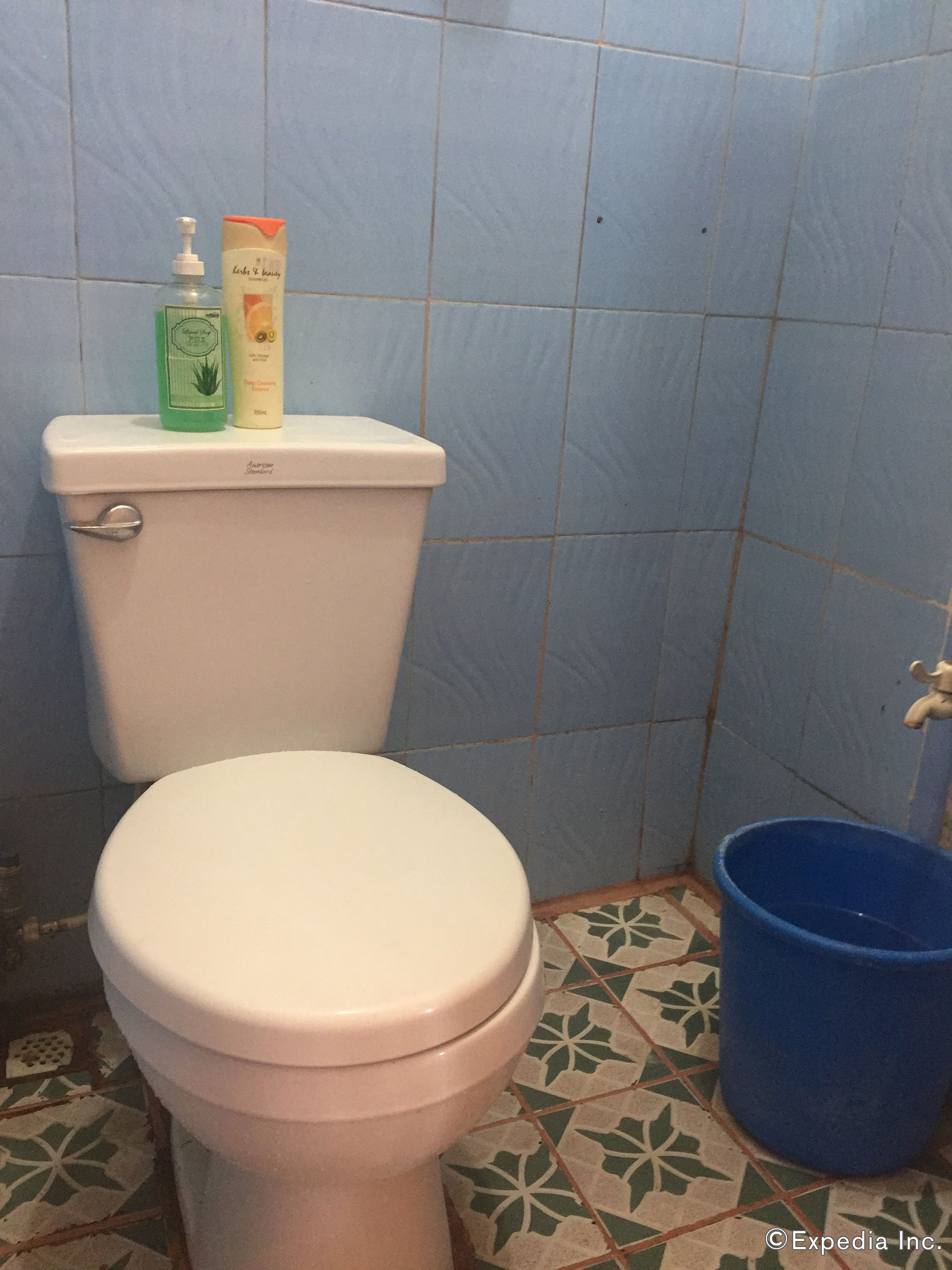 Un inodoro con asiento y tapa blancos, un cubo azul al lado y dos botellas de artículos de aseo en el tanque.