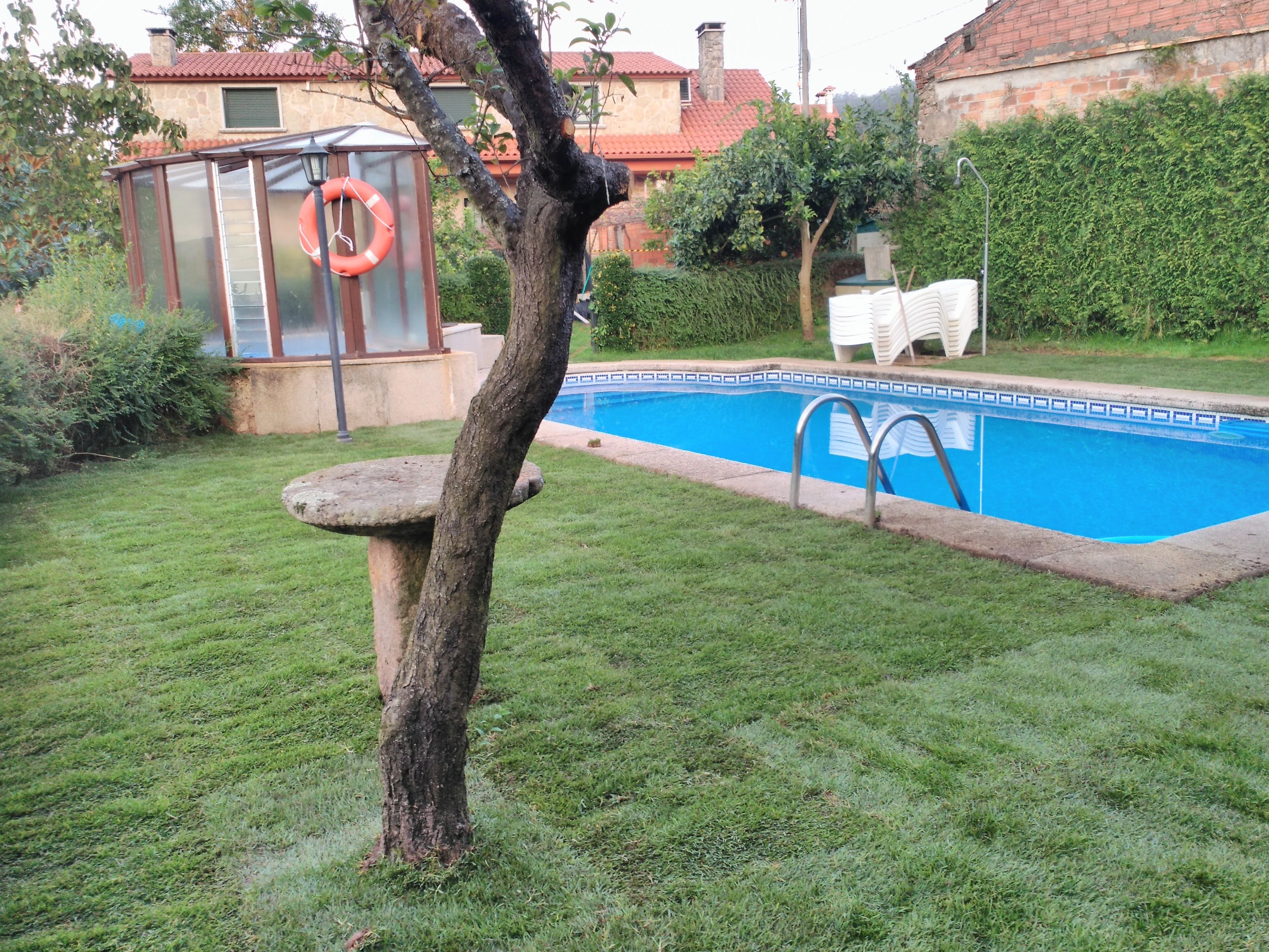 Un patio trasero con piscina, un árbol y un cobertizo pequeño.