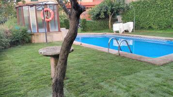 Un patio trasero con piscina, un árbol y un cobertizo pequeño.