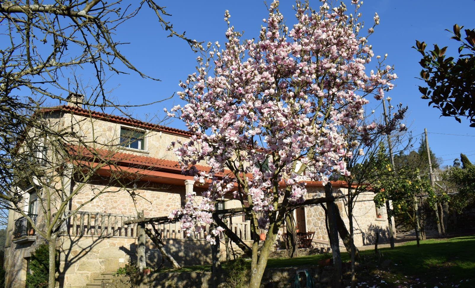 Photo - Casa Rural Os Carballos
