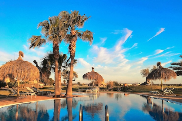 Una piscina techada, una piscina al aire libre, sombrillas